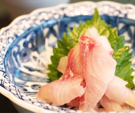 地魚のお刺身