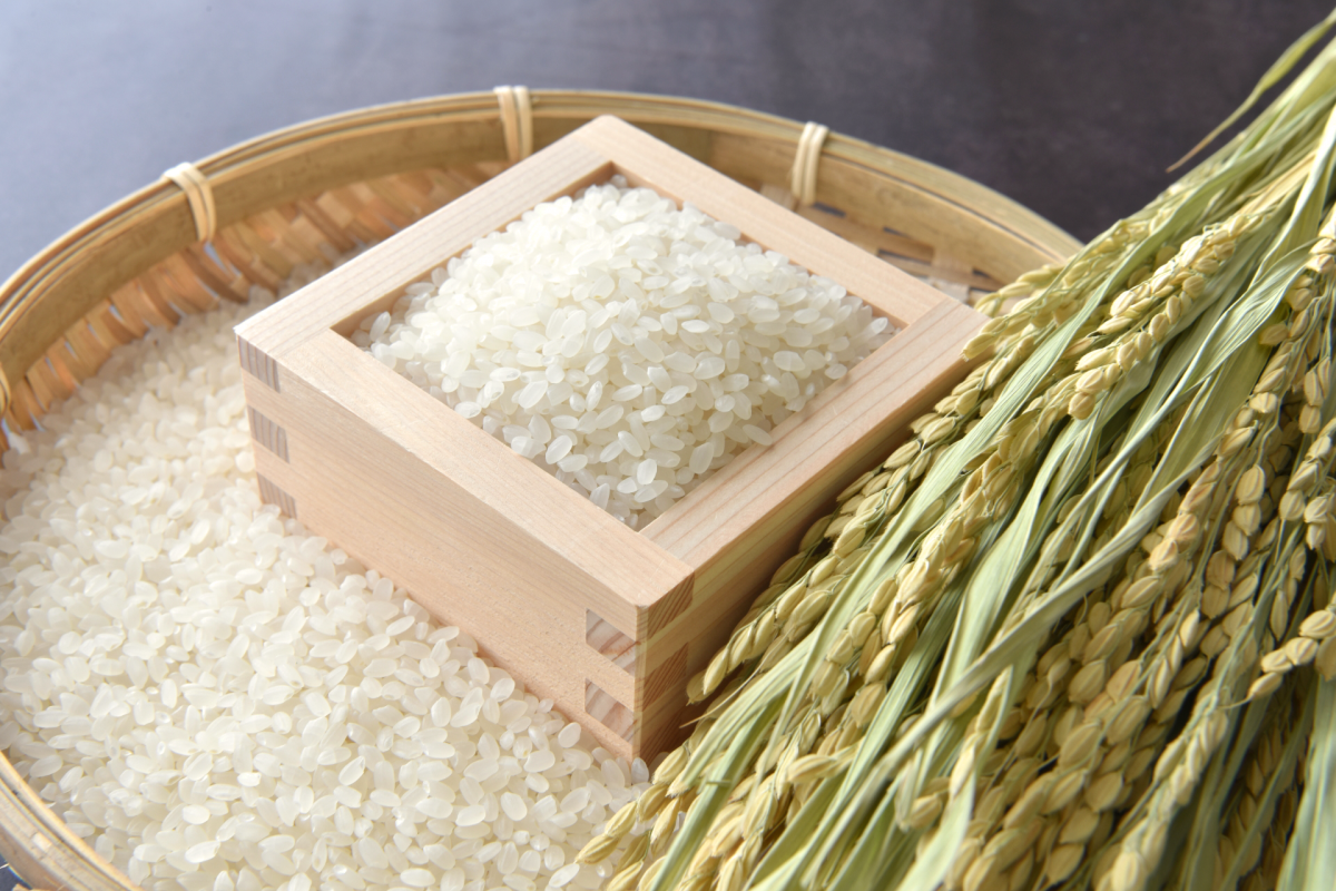 稲とマスとザルにはいった精米済のお米