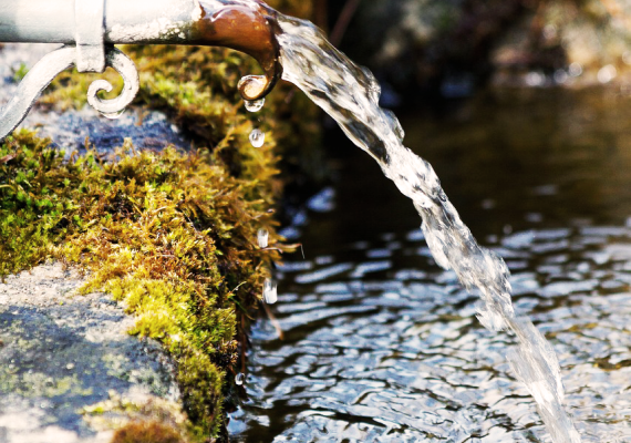 ひなた町の湧き水